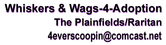 Whiskers and Wags-4-Adoption Logo